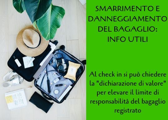 Smarr Bagaglio 7.jpg